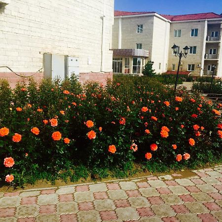 Hotel Ark Ms Taraz Bagian luar foto