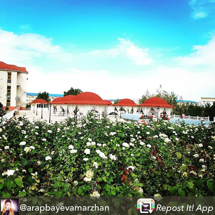 Hotel Ark Ms Taraz Bagian luar foto